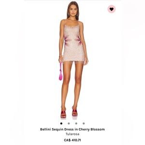 Tularosa Bellini Sequin Dress in Cherry Blossom